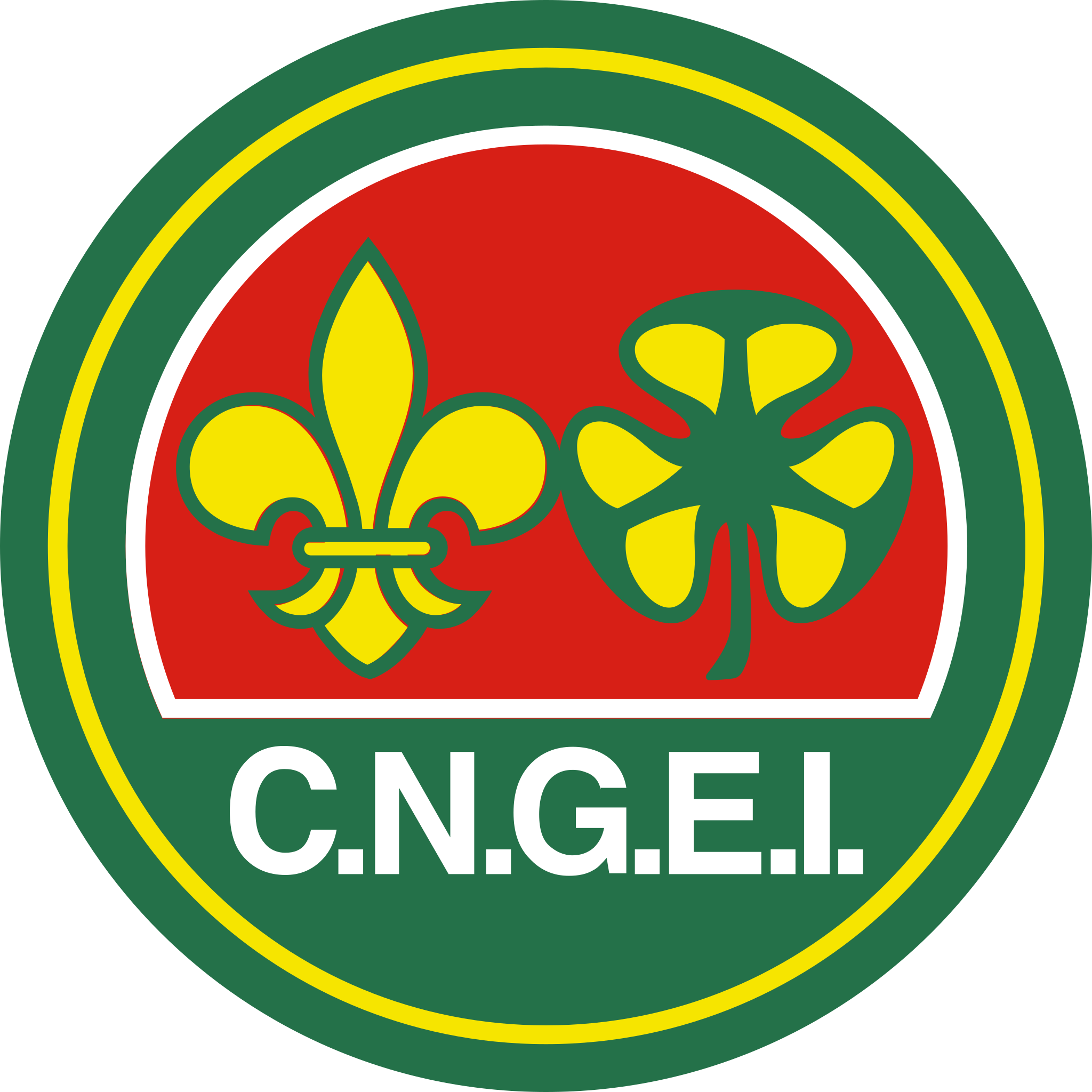C.N.G.Е.I. 